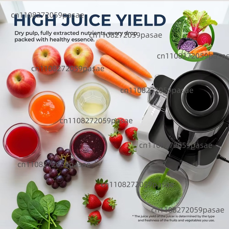 Extractor de jugo de boca anch - Electric Slow Juicer Cold Press reseña y precio